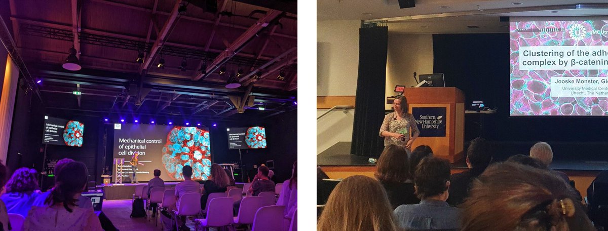 GloerichLab (@gloerichlab) on Twitter photo Many #proudPI moments this month!
<a href="/RonjaHoutekamer/">Ronja Houtekamer</a> and <a href="/JooskeMonster/">Jooske Monster</a> both did excellent jobs representing the lab with great talks at the <a href="/oncodeinstitute/">Oncode Institute</a> & <a href="/GordonConf/">Gordon Research Conferences</a> adhesion meeting and <a href="/wj_pannekoek/">WJ Pannekoek</a> got awarded a grant from <a href="/Cancer_UMCU/">Cancer Research UMC Utrecht</a> to study force tranduction in cancer! Many #proudPI moments this month!
<a href="/RonjaHoutekamer/">Ronja Houtekamer</a> and <a href="/JooskeMonster/">Jooske Monster</a> both did excellent jobs representing the lab with great talks at the <a href="/oncodeinstitute/">Oncode Institute</a> & <a href="/GordonConf/">Gordon Research Conferences</a> adhesion meeting and <a href="/wj_pannekoek/">WJ Pannekoek</a> got awarded a grant from <a href="/Cancer_UMCU/">Cancer Research UMC Utrecht</a> to study force tranduction in cancer!