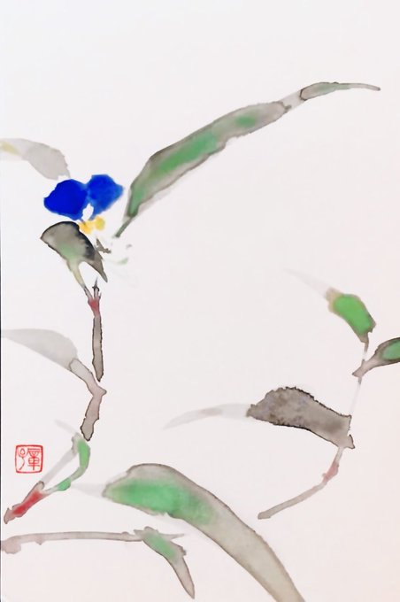 蛍草のtwitterイラスト検索結果