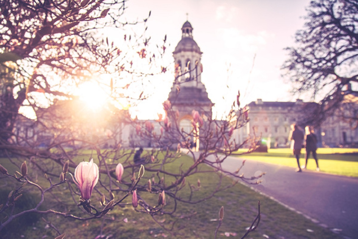 tcdglobal's tweet image. Our #WelcomeToTrinity guide is full of helpful tips and info for incoming Trinity students. Check it out: tcd.ie/study/assets/P…
@tcdsu @TrinityGSU @TCDGlobalRoom