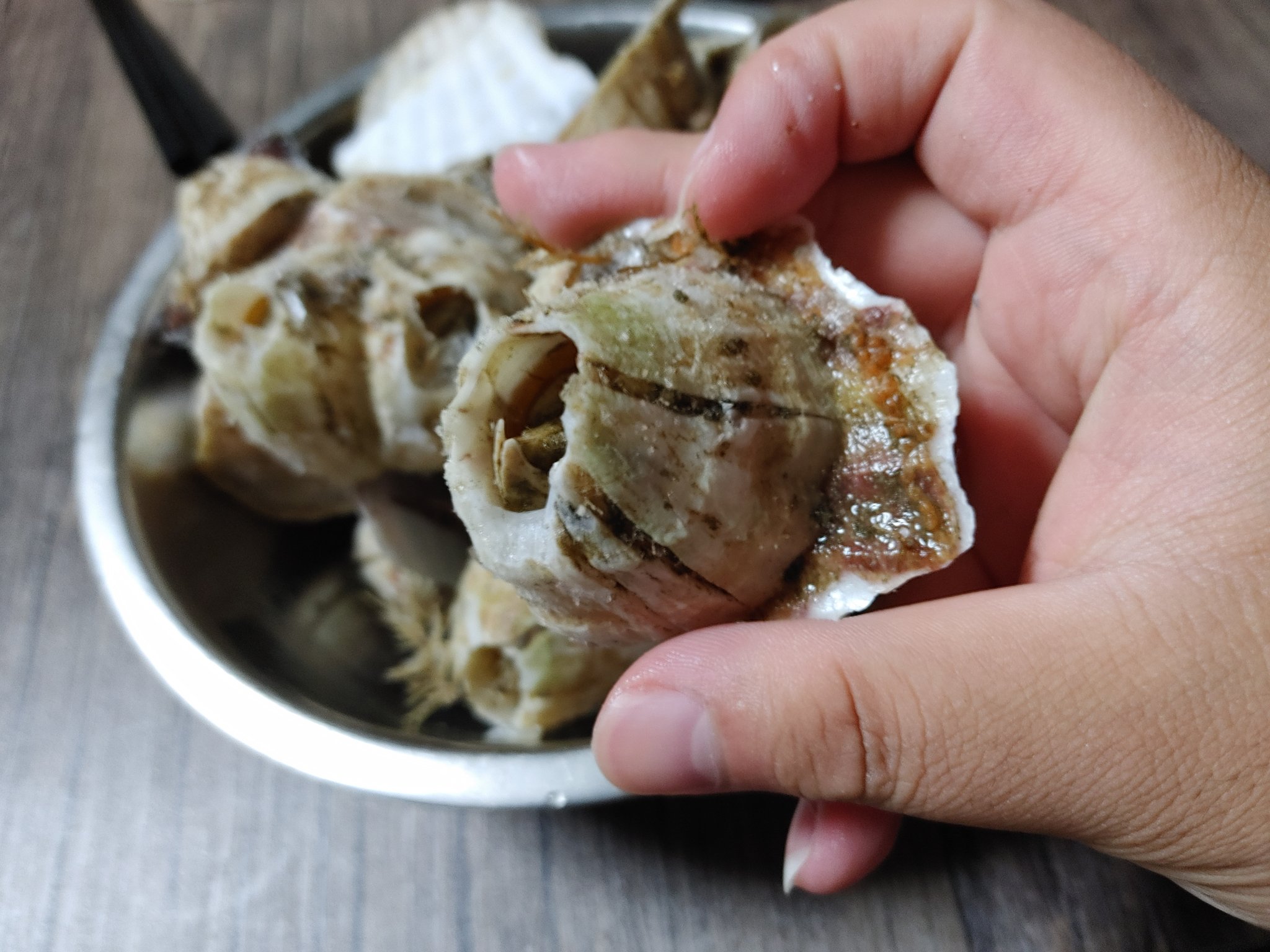 Twitter এ S N 友人から巨大なフジツボ たぶんミネフジツボ が大量に送られてきました 明日食べます T Co Nqw5zymnfj ট ইট র