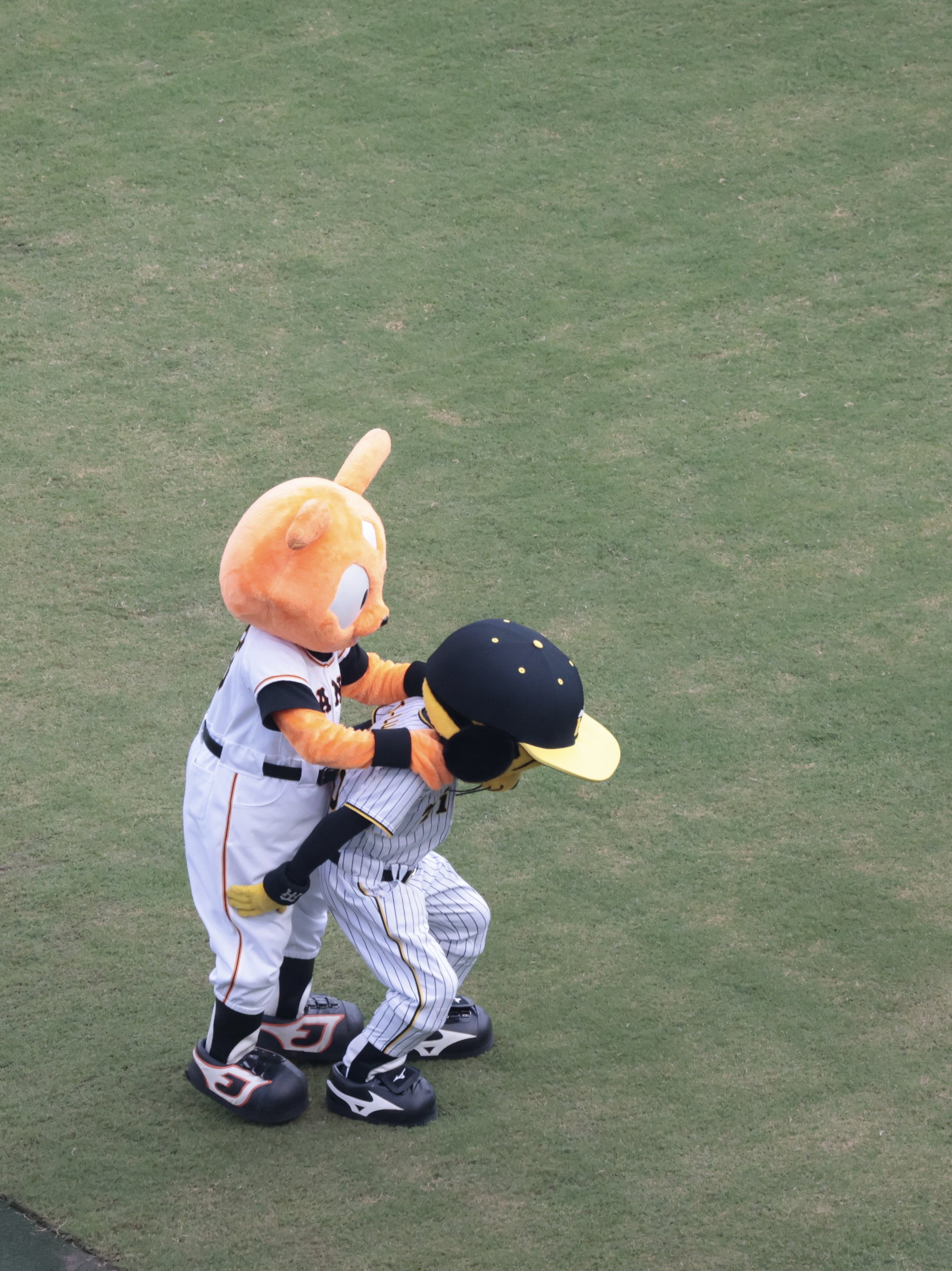 تويتر Chipi𝟚𝟠𝟡𝟞 على تويتر トラッキーがジャビットを おんぶしてた 仲良しなんかな 22 07 27オールスター松山 T Co Tczmpcozwx