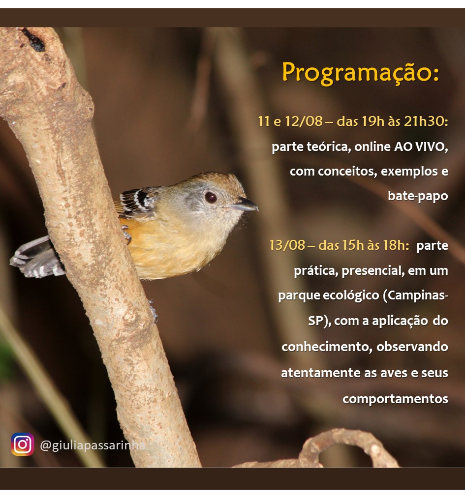 O curso tem partes teórica e prática! Caso vc só possa fazer a parte teórica (que é online) por conta da distância, ou queira fazer a prática em outro momento, pode também!

 linktr.ee/giuliapassarin…