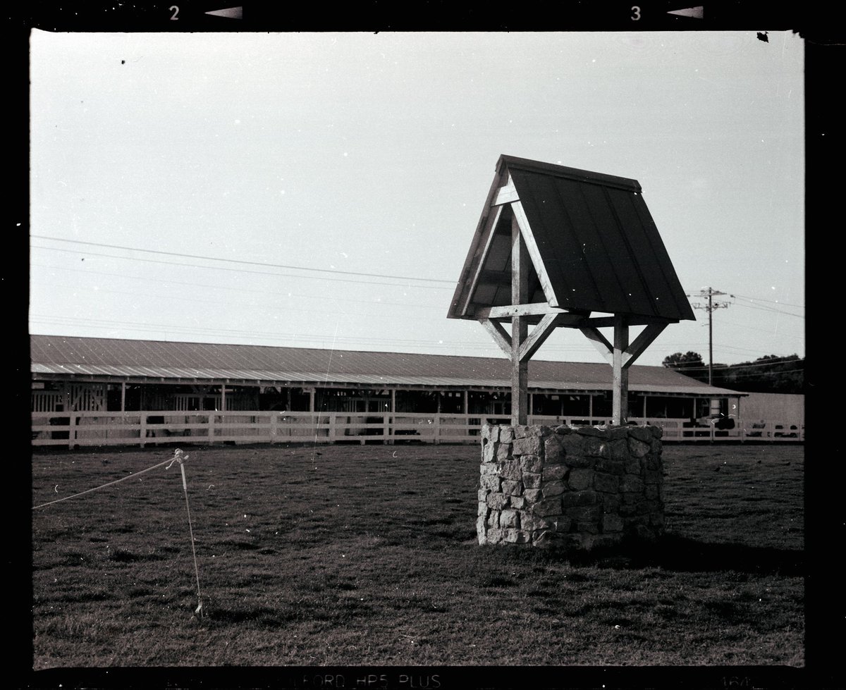 callrw's tweet photo. A few weeks back I went to #harlinsdalefarm and took some photos. These were shot on #ilfordhp5 400 film and is a 6x7cm negative using the 90mm lens. My lens was dusty, I forgot to clean it. Lesson learned

#filmisnotdead #analogphotography #filmphotography #filmcamera https://t.co/XrFJiTVhx4