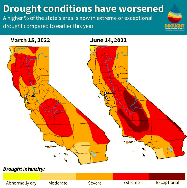 According to NOAA, California saw its driest January to July on record. Dry is the "new normal" in CA. And that means hotter, drier summers. Every drop you can conserve counts during drought conditions!  Find tips on how you can conserve water here: saveourwater.com