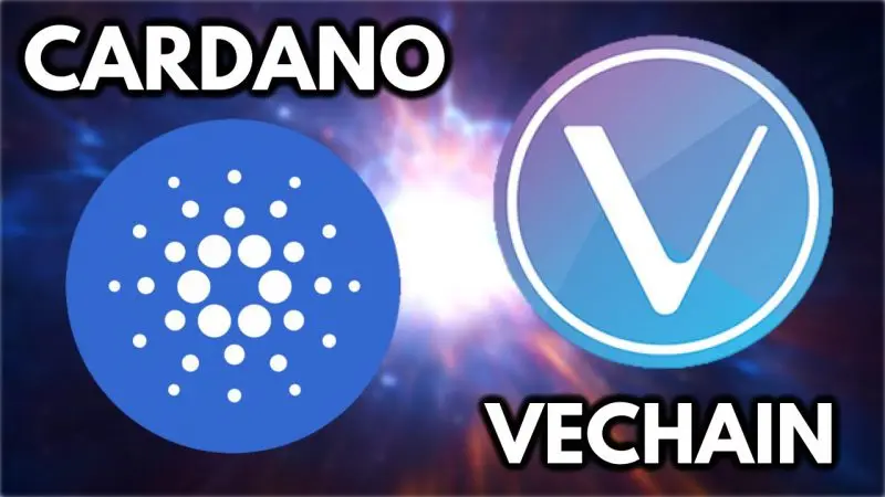 $ADA VS $VET -> Who do you pick? 🧐

#VECHAIN: $1,699,476,413

#CARDANO: $15,885,677,851