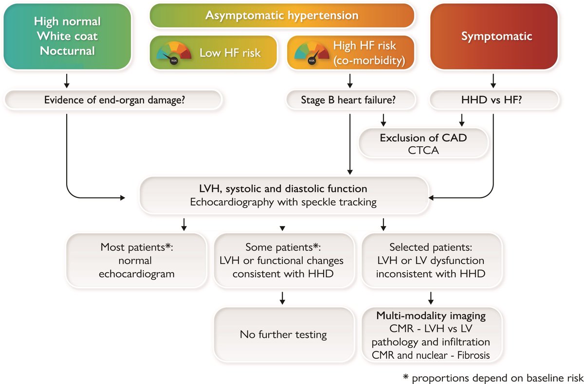 EHJ Editor-in-Chief (@ehj_ed) on Twitter photo Phenotyping the hypertensive heart: read the latest State of the Art Review in EHJ!
academic.oup.com/eurheartj/adva…
#hypertension #echocardiography #CMR #CT #fibrosis #cardiotwitter <a href="/escardio/">European Society of Cardiology</a> <a href="/ESC_Journals/">European Society of Cardiology Journals</a> Phenotyping the hypertensive heart: read the latest State of the Art Review in EHJ!
academic.oup.com/eurheartj/adva…
#hypertension #echocardiography #CMR #CT #fibrosis #cardiotwitter <a href="/escardio/">European Society of Cardiology</a> <a href="/ESC_Journals/">European Society of Cardiology Journals</a>