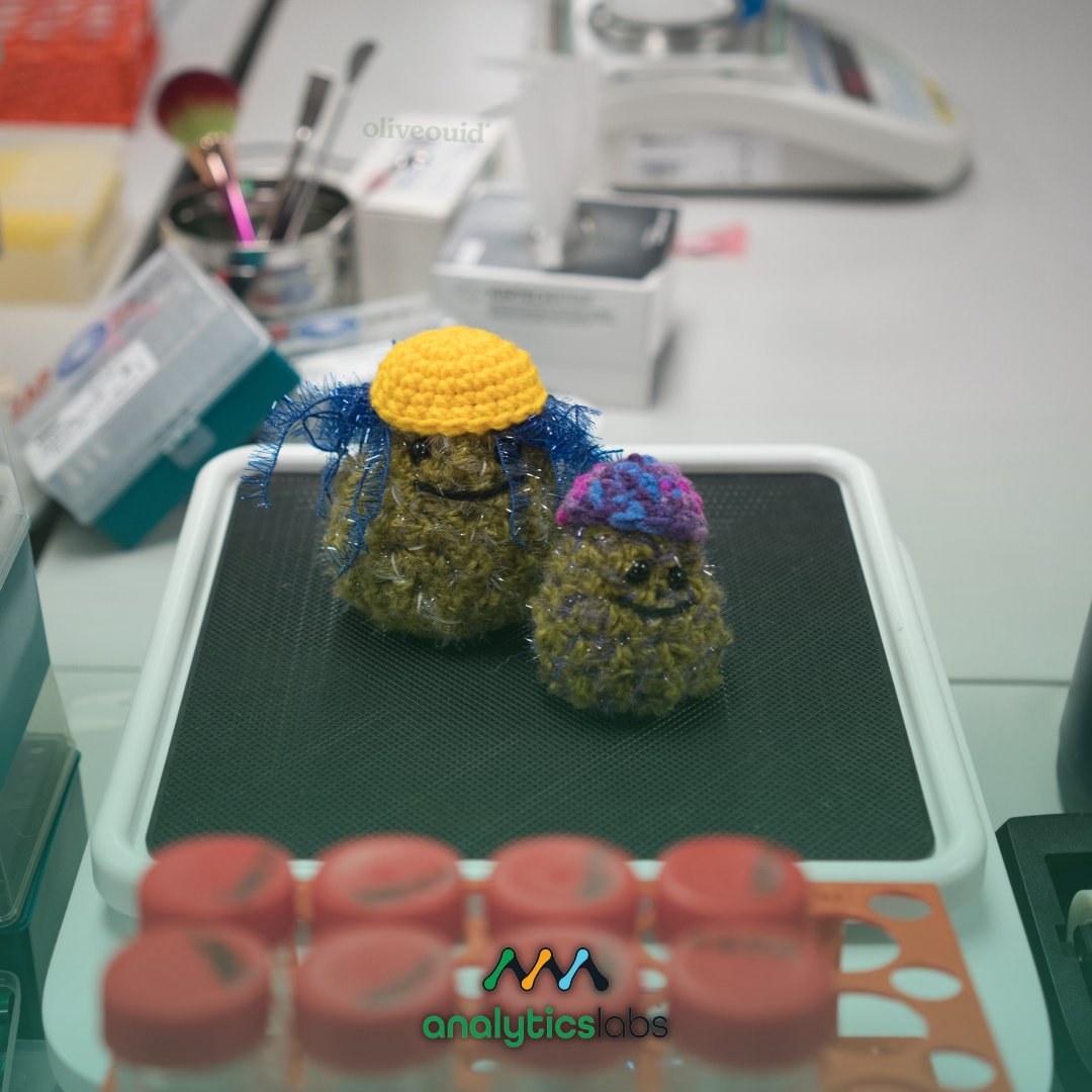 myAnalyticsLabs's tweet image. Calibrating some equipment in the lab! 🔬 @nuggbuddies 

#AnalyticsLabs #ScheduleYourAppointmentToday #testinglaboratory #testing #flowertesting #terpenes #cannabinoids #heavymetals #safetesting