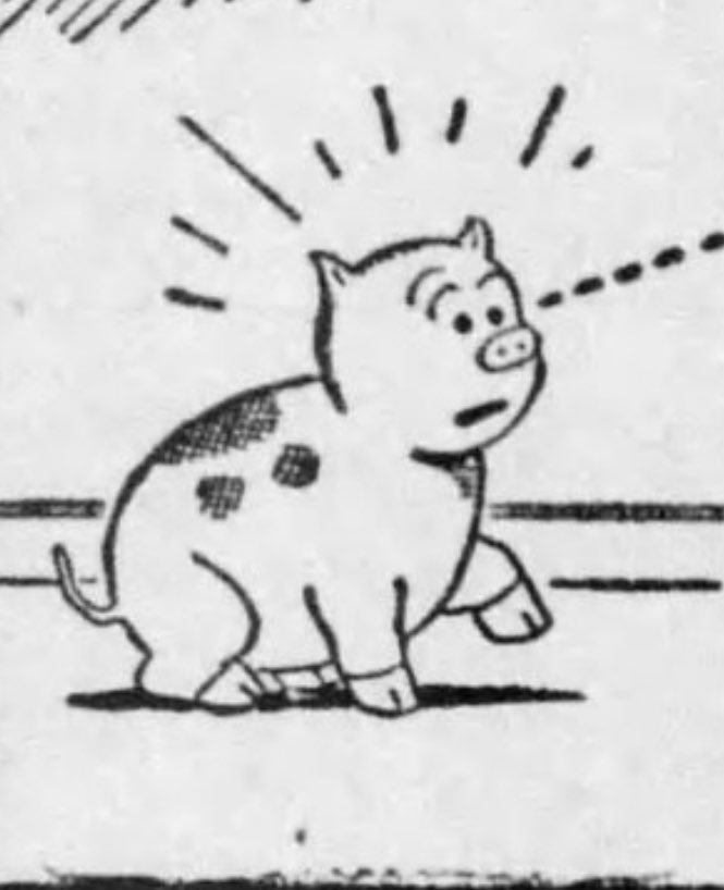 OperaBellBand's tweet image. The pig does not approve 😡