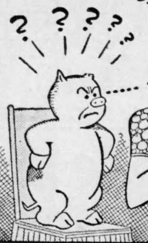 OperaBellBand's tweet image. The pig does not approve 😡