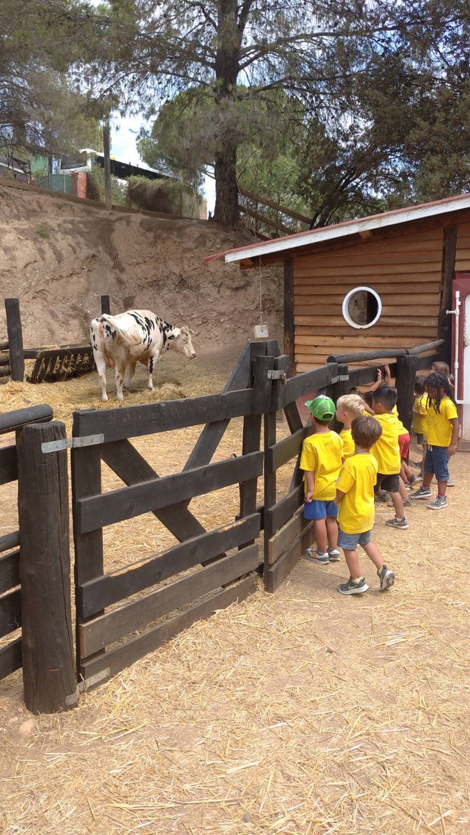 C.E.Xixell tweet media