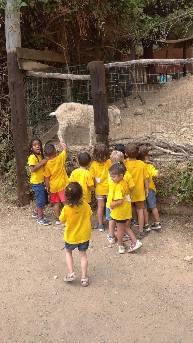 C.E.Xixell tweet media