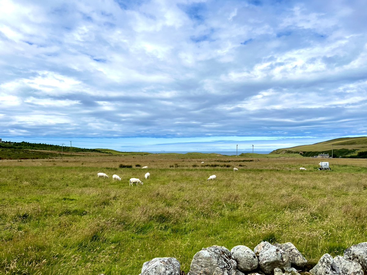 Tonight’s camping spot in the wilds of Scotland🏴󠁧󠁢󠁳󠁣󠁴󠁿
