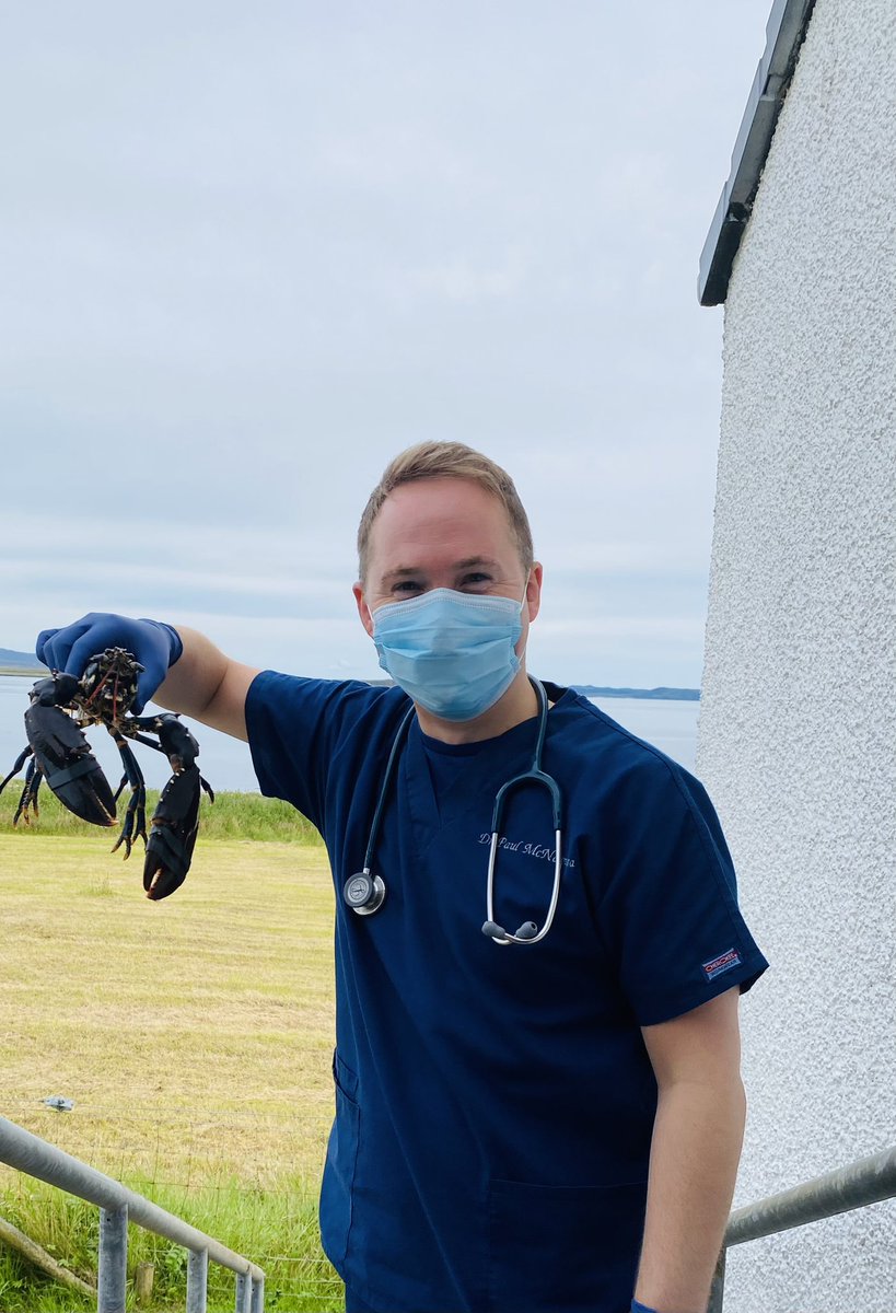 #TeamGP 2nd week as an island GP on lovely Islay…. Saw a patient this morning with deranged LFTs…..this afternoon he dropped off a live lobster as a thank you gift for ‘listening’ #bestjobintheworld #ChooseGP #RuralGP #MedTwitter