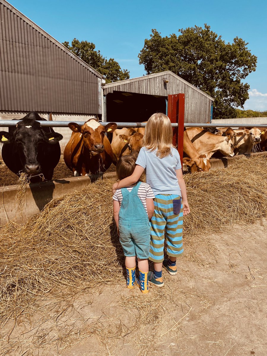 HopewallD's tweet photo. Milking Time 🌻🐂🌻#rawmilk #rawmilkdelivery #rawmilkhealth #rawmilkrevolution #poynton #bramhall #wilmslow #prestbury #adlington #Macclesfield #offerton #marple #highlane #hazelgrove #tytherington https://t.co/x2SciqVKF4
