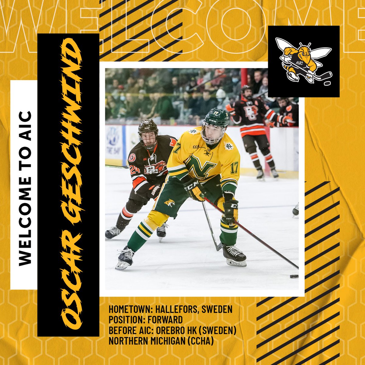 AIC Hockey tweet media