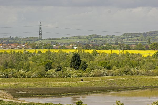 Townsend_TCS's tweet photo. PLANS FOR NUTRIENT MITIGATION SCHEME
Credits generated by creation of habitats like wetlands and woodlands will be utilised by developers as part of planning applications in certain LPAs. For more information contact Alasdair Squires on 01392 823935. https://t.co/fNf0iPYPDd