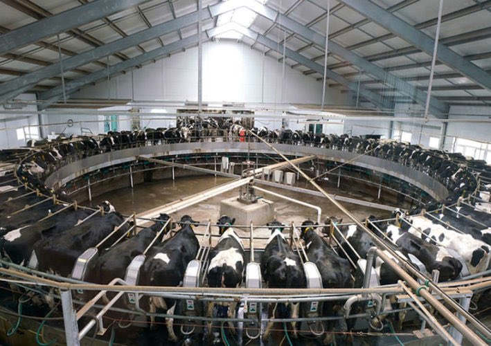 Henksebroer tweet media