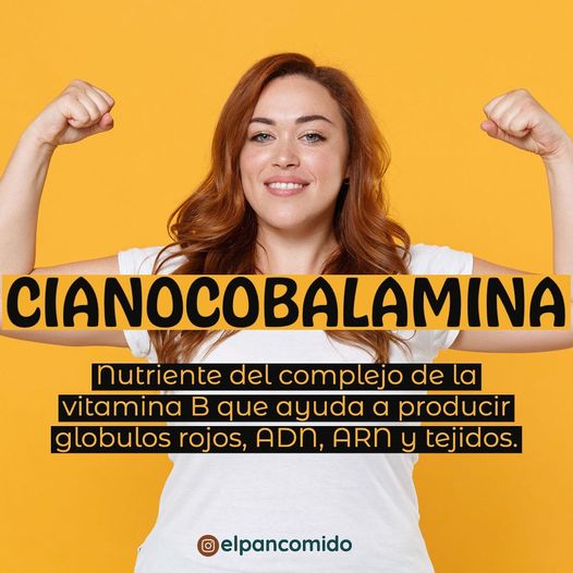 Pan Comido Ⓥ tweet media