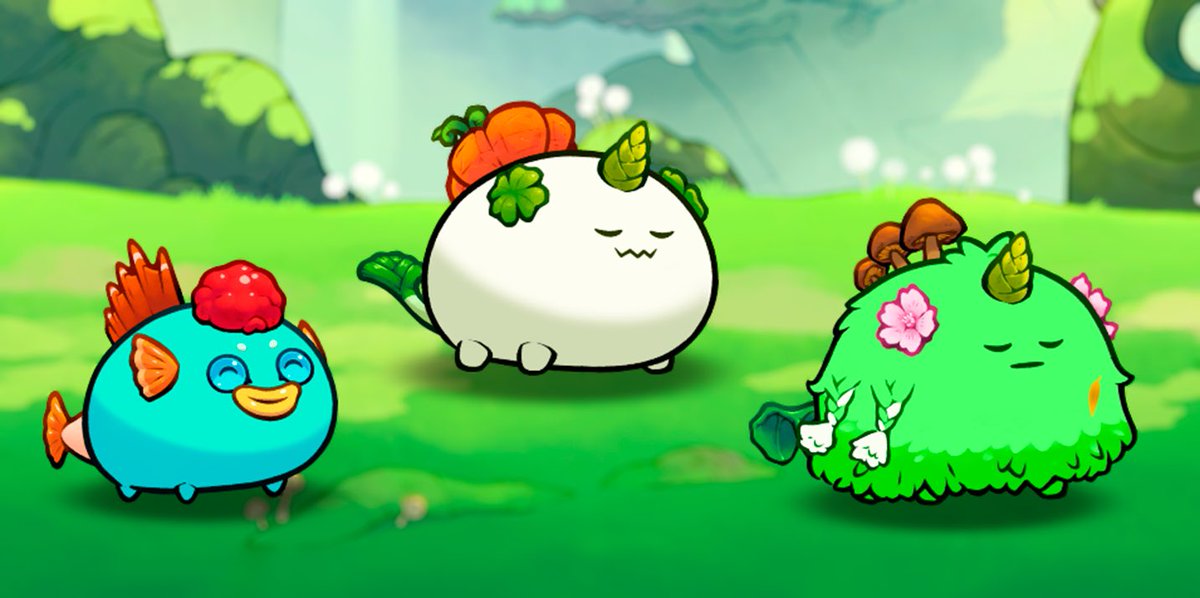Axie Origin Team Giveaway ❤️

Retweet + Follow <a href="/AxieSumoSociety/">The Axie Sumo Society</a> and <a href="/BigYakAxieClub/">BYAC.RON</a>

Winner announcement in 72 hours ⚡️