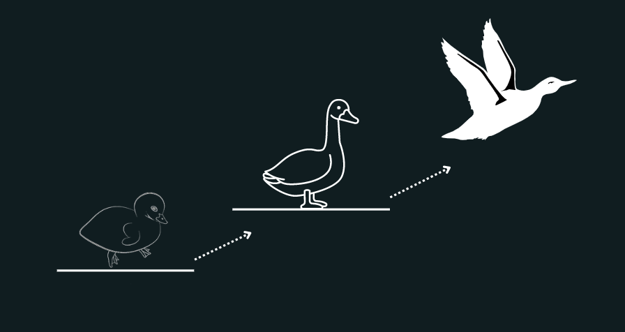 Giveaway_Goose's tweet photo. Every goose starts as a gosling #KeepGoing #CryptoSigma #StillWeRise https://t.co/CaqmspMFCT