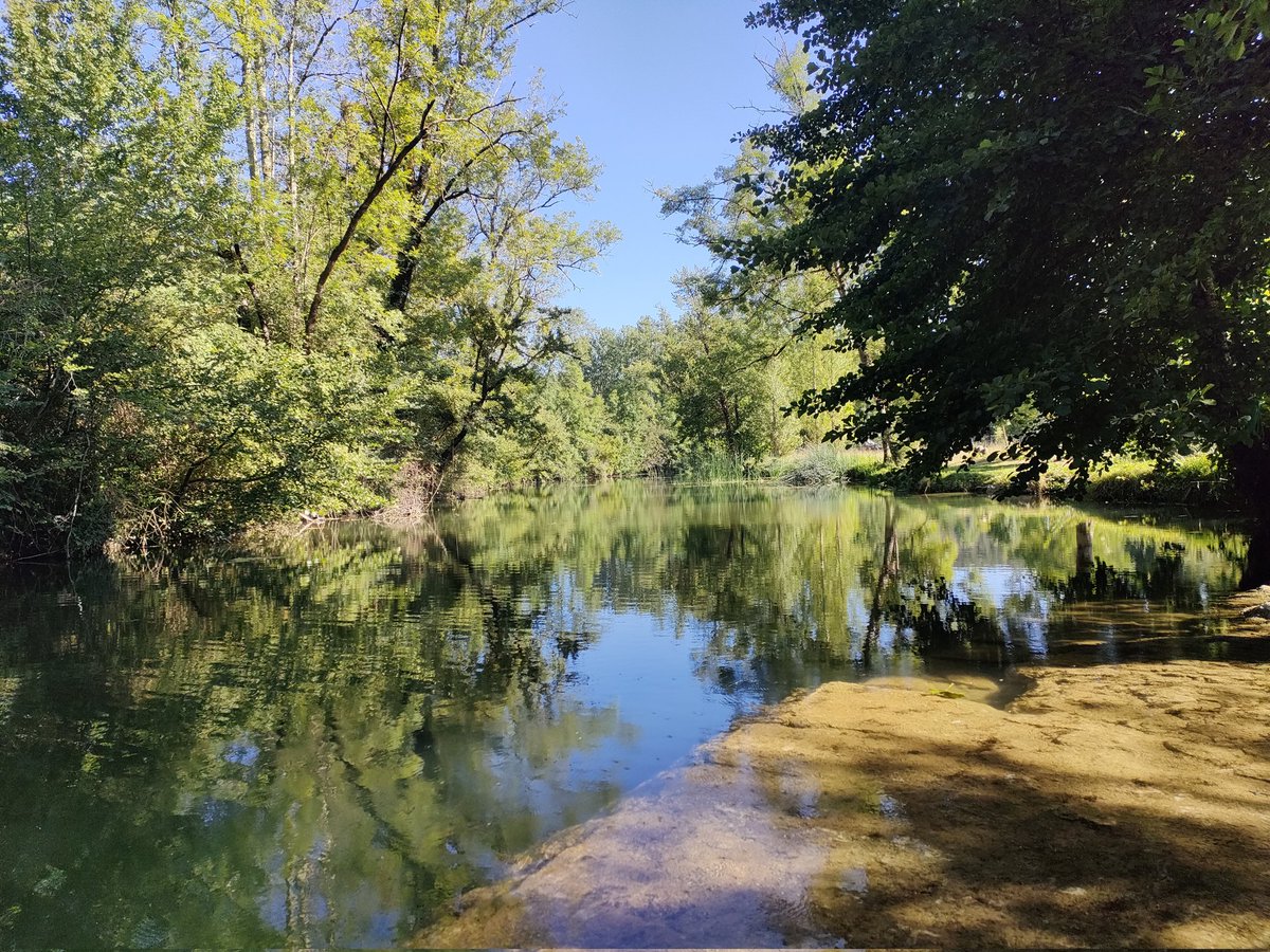Breandán Dé Rossa tweet media