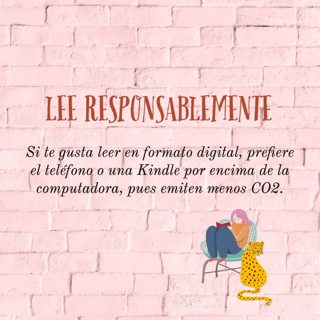 Pan Comido Ⓥ tweet media