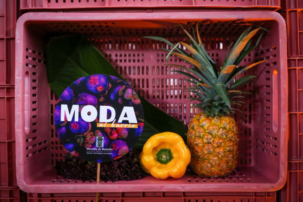 AlcaldiadeMed's tweet image. La moda llega a los rincones de nuestra hermosa ciudad ✨. Con colores, risas, bailes, cultura y talento 💖, #ModaAlBarrio2022 inspiró y transformó a nuestra Plaza Minorista en una alegre pasarela donde los sueños y las manos se unen para construir la #MedellínFuturo 🌟.