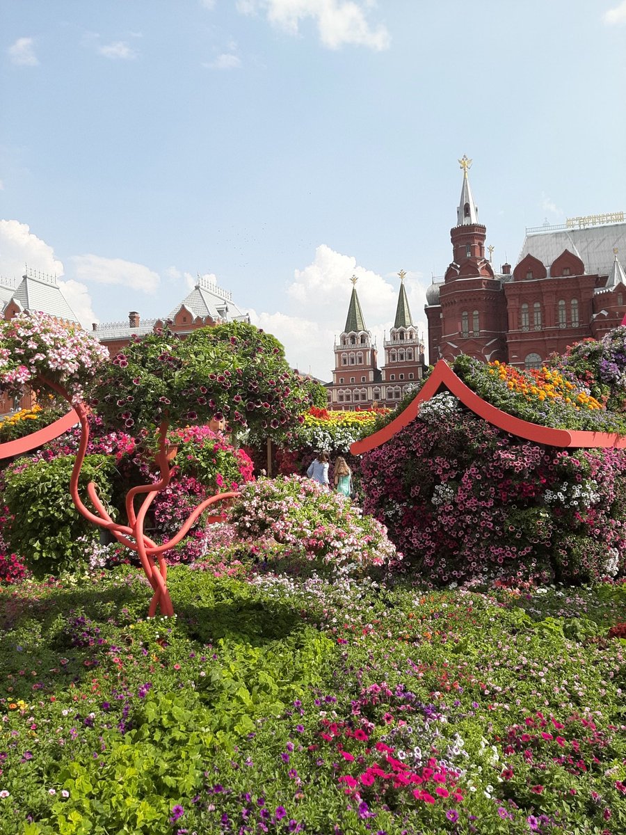 Mikheeva_Elena_'s tweet photo. Летние композиции на Красной Площади в Москве. Друзья, если у вас есть возможность, рекомендую не лениться и съездить посмотреть на эту красоту!

❤💙🤍

#Moscow2022 #Russia #TheRedSquare #FlowersJam https://t.co/nkewuHeyto