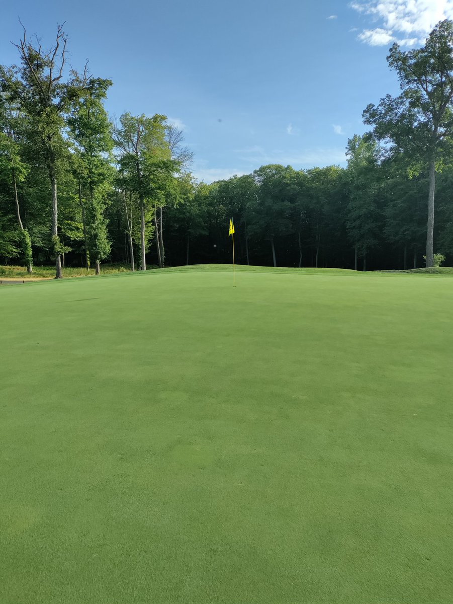 The greens are better with Anuew™ than without