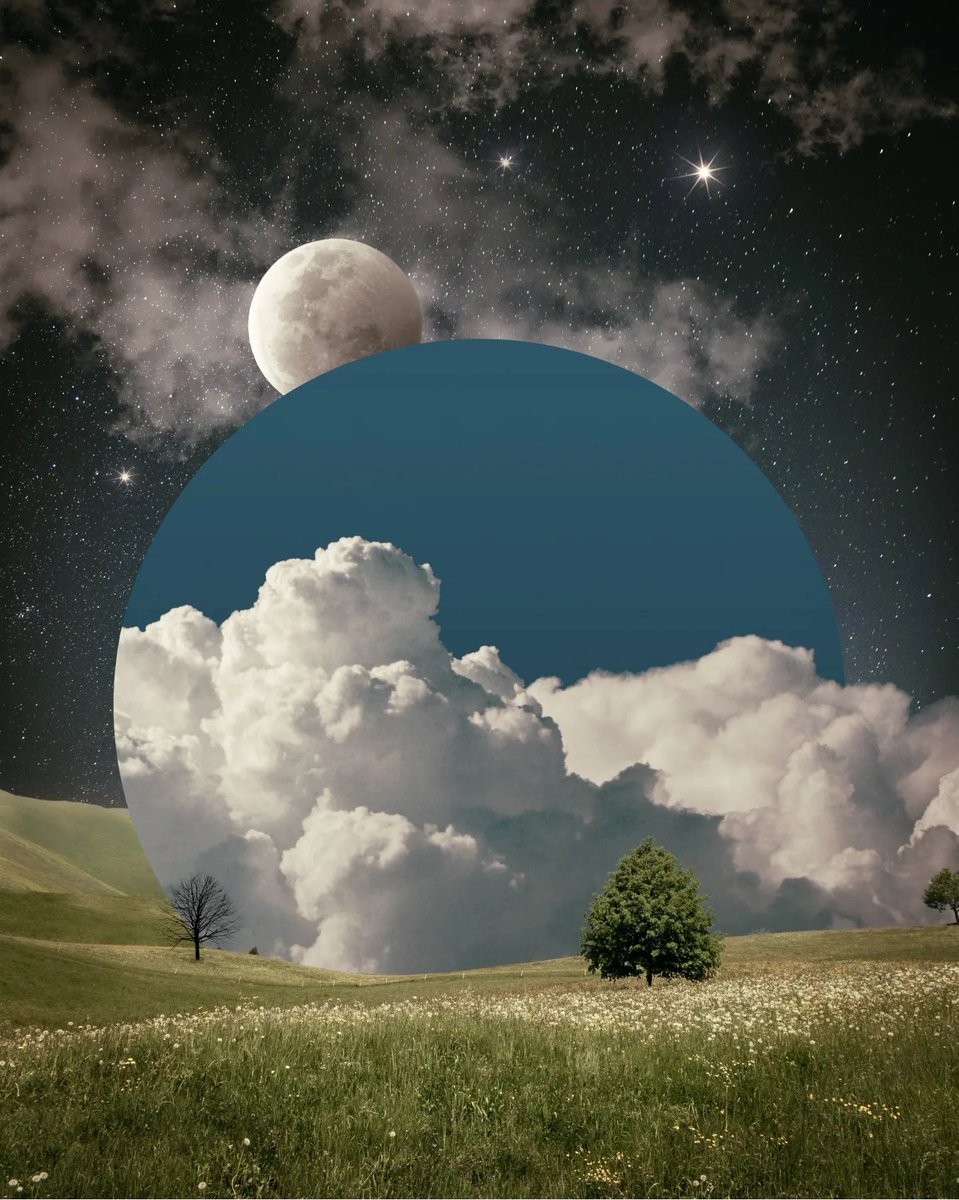 A bit of Starlight for your day🌃