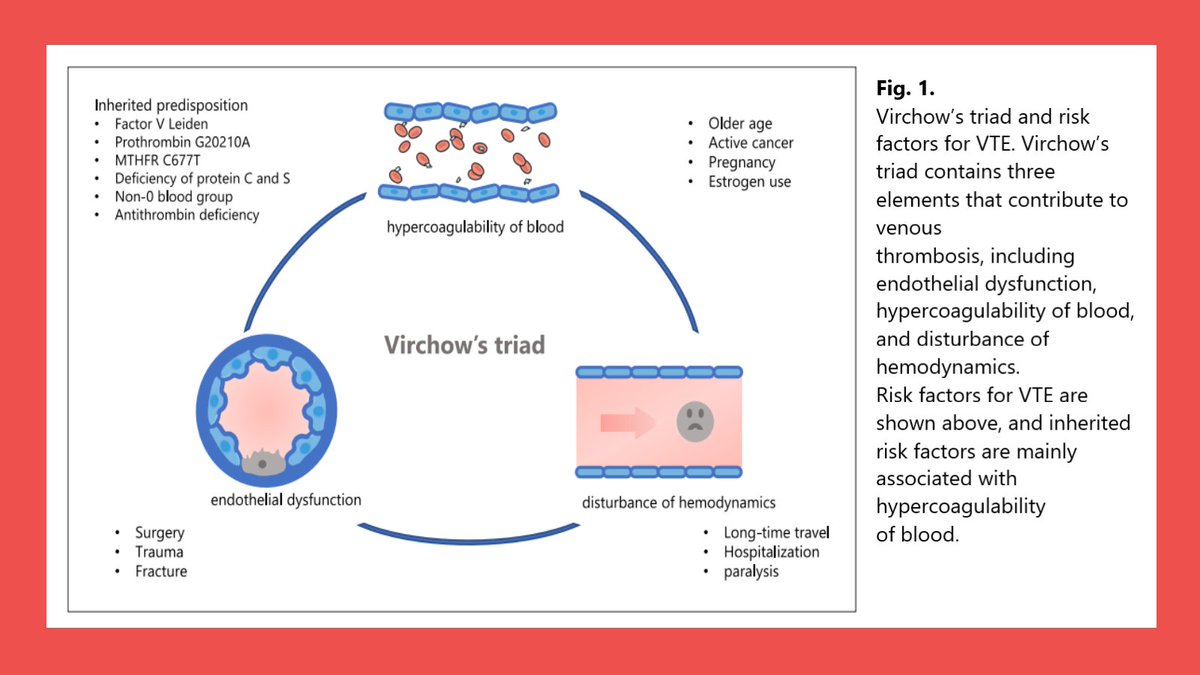 NephroKarger's tweet photo. Venous Thromboembolism in Kidney Diseases and Genetic Predisposition

✍ Tingting Wu and Liang V. Tang
📑 https://t.co/eYBsvsV3GN

#KidneyDis #OpenAccess #KD #CKD #NS https://t.co/zfDCRdbdnc