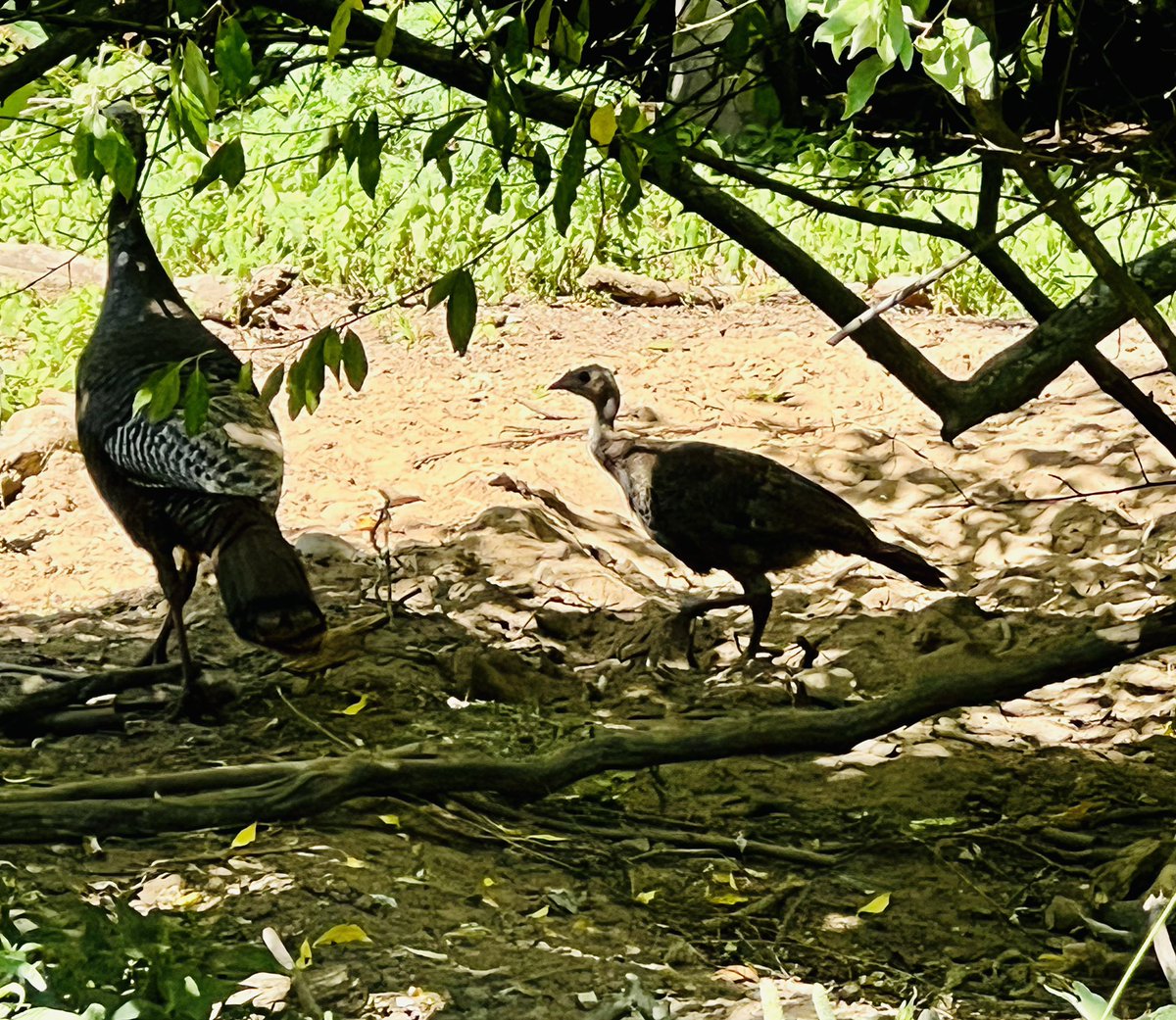 Paul_KMEOutdoors tweet media