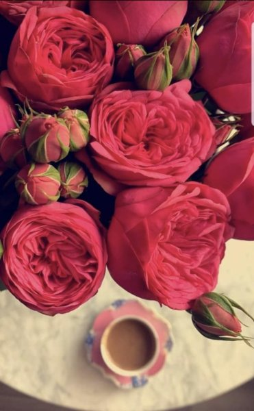 DoddHady's tweet photo. @Se_mo_77 ألبي النداء        ♥      فالقلب احترق شوقا    ♥        يا قدري النائم أما حان وقت البوح؟ https://t.co/YD65TiWvik