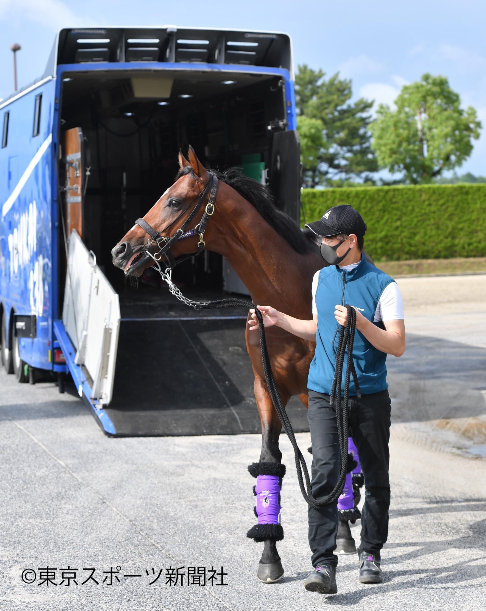 東スポ競馬 Twitterren ダービー馬帰還 夢の続きはフランスで ドウデュース 凱旋門賞 東スポ競馬 競馬 T Co Uequumluv3 Twitter