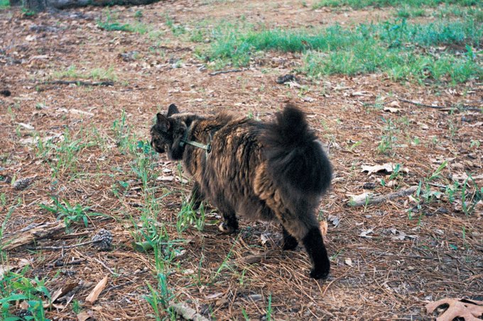 The best travel buddy https://t.co/9Rqt8LRmu3