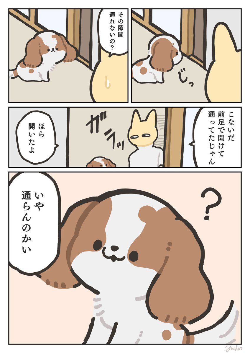 犬日記 違ったらしい 