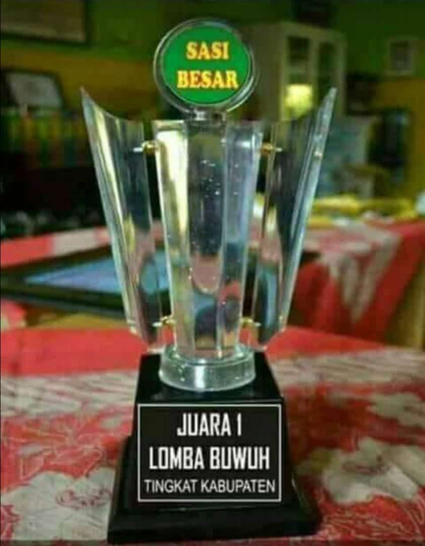 Terima Kasih pak Bupati...😂😂😂