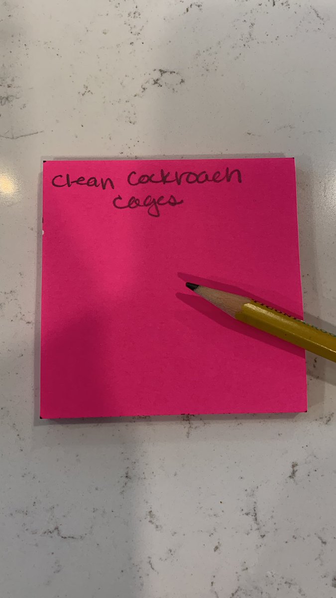 ableabole's tweet image. When your to-do list starts like this…