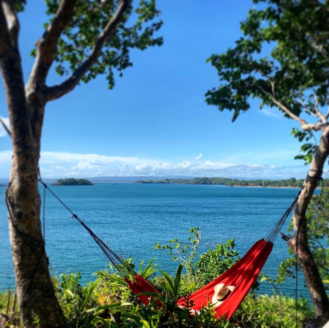 IleMadagascar's tweet photo. Un petit coin sublime pour se détendre pendant les vacances.
📍Cap Masoala, au nord-est de Madagascar.
📸 Masoala Forest Lodge
#MyMadagascar #Visitmadagascar #madagascar #masoalaforestlodge #masoala https://t.co/0MFh1aJVcu