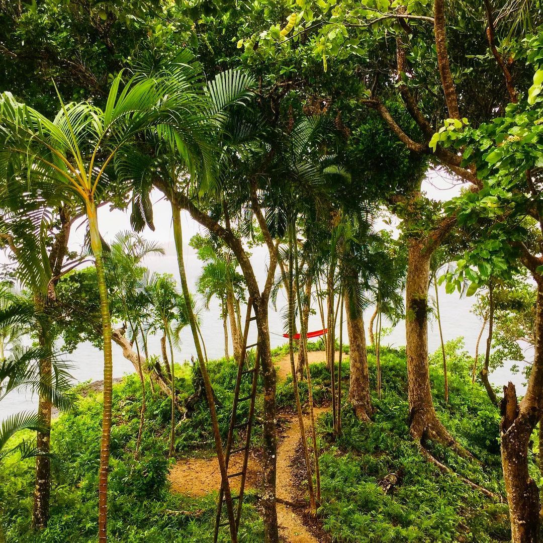 IleMadagascar's tweet photo. Un petit coin sublime pour se détendre pendant les vacances.
📍Cap Masoala, au nord-est de Madagascar.
📸 Masoala Forest Lodge
#MyMadagascar #Visitmadagascar #madagascar #masoalaforestlodge #masoala https://t.co/0MFh1aJVcu