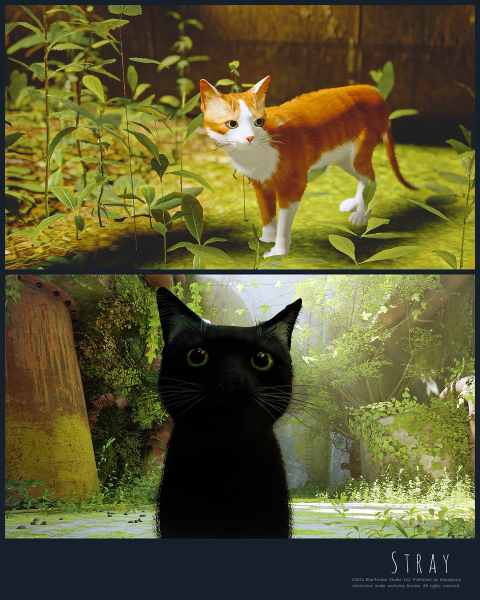 Kiku_ken_16_9's tweet image. 0727
😸📸🐈🐈‍⬛

猫になってネコを撮る。
遠眼鏡(猫用)が欲しい

Game:#Stray
(PS4Pro,Retouched photos)
Tags:#バーチャル猫 #virtualcat
#vpgamers #gamergram #zarngaming
#virtualphotography
#PSshare #PSBlog