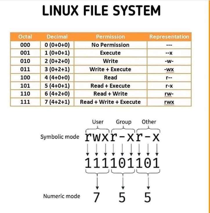 thatstraw's tweet image. A great picture to understand Linux File Permissions. 🐧↓