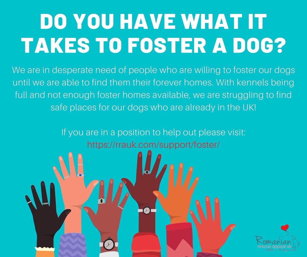 Romanian Rescue Appeal tweet media