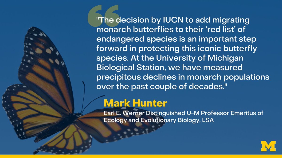 Migratory monarch butterfly now Endangered - IUCN Red List - Press