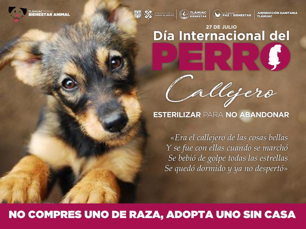 División fuegos artificiales Restricción Berenice Hernández Calderón on Twitter: "“Aunque fue de todos, nunca tuvo dueño” Hoy conmemoramos el #DíaInternacionalDelPerroCallejero, fecha que invita a la reflexión y hacer consciencia de la tutela responsable, para evitar abandonos. División fuegos artificiales Restricción Berenice Hernández Calderón on Twitter: "“Aunque fue de todos, nunca tuvo dueño” Hoy conmemoramos el #DíaInternacionalDelPerroCallejero, fecha que invita a la reflexión y hacer consciencia de la tutela responsable, para evitar abandonos.