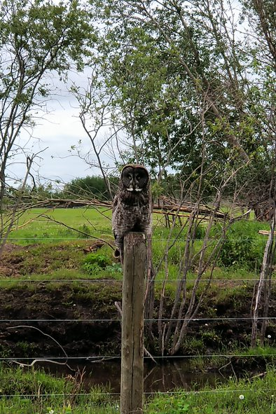 Digital Agronomy tweet media