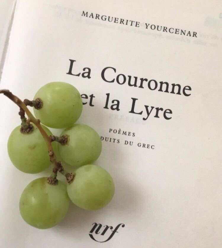 leeipsa's tweet image. “𝘓’𝘢𝘮𝘰𝘶𝘳 𝘦𝘴𝘵 𝘭𝘢 𝘱𝘰é𝘴𝘪𝘦 𝘥𝘦𝘴 𝘴𝘦𝘯𝘴.”

𝓛oving gaze lasted for eternity, the angel wreathed around with pure white as the glimmers sprinkled on her dainty fingers. Sweet cherry lips dusted with glitters and sugar; hair swayed like the ethereal princess she is.