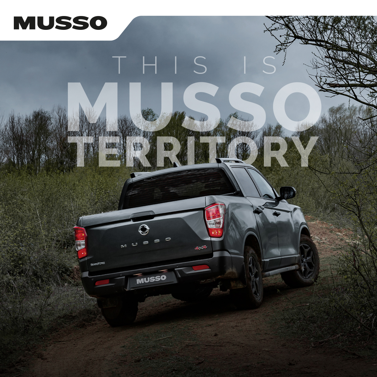 PlatSsangYong's tweet photo. Often seen amongst the mud, between the trees and off the beaten tracks - This is Musso territory
#Musso #ThisIsMussoTerritory #MadeToConquer #platinumSsangYong
https://t.co/eVLGCkgfaB https://t.co/qo5stL6JQS