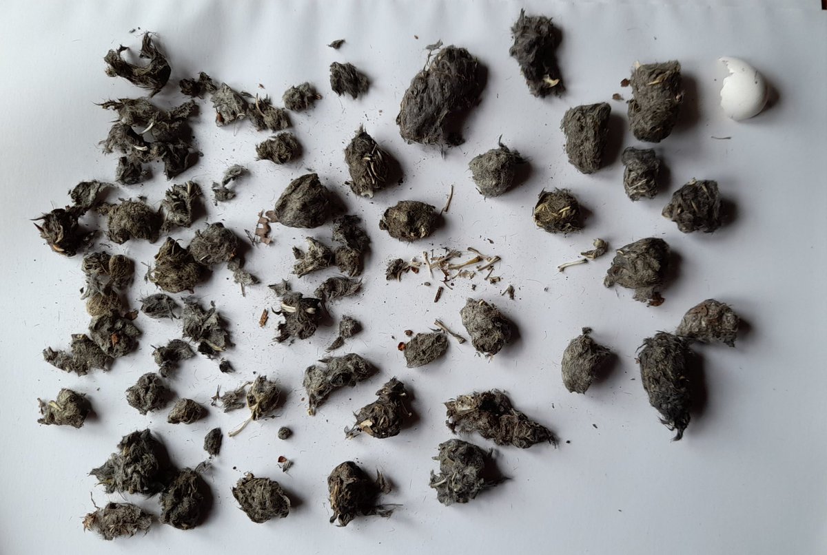 James M Turner tweet media