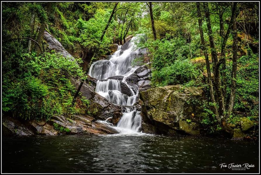 Foto Diaria Extremadura tweet media